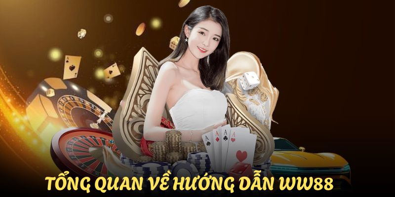 tong-quan-vai-net-huong-dan-ww88