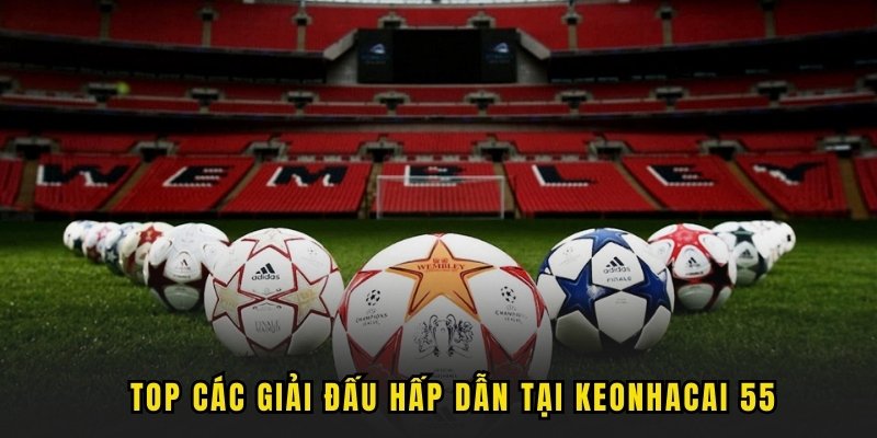 top-cac-giai-dau-hap-dan-tai-keo-nha-cai-55