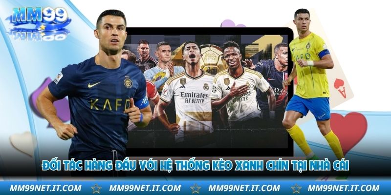 doi-tac-hang-dau-voi-he-thong-keo-xanh-chin-tai-nha-cai